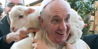 Pope Francis 50th Anniversary